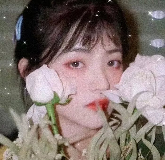 至善至美